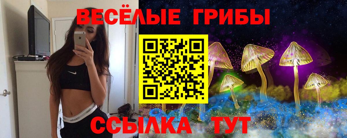 Галлюциногенные грибы прущие грибы  Вход с VPN  Псилоцибиновые грибы прущие грибы  Северобайкальск 