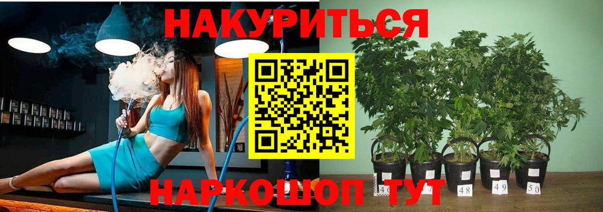 Каннабис Amnesia  Вход с VPN  Северобайкальск  Бошки Шишки Bruce Banner  Конопля Ganja 